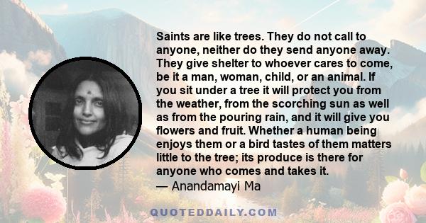 Saints are like trees. They do not call to anyone, neither do they send anyone away. They give shelter to whoever cares to come, be it a man, woman, child, or an animal. If you sit under a tree it will protect you from