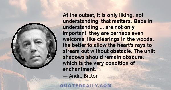 At the outset, it is only liking, not understanding, that matters. Gaps in understanding ... are not only important, they are perhaps even welcome, like clearings in the woods, the better to allow the heart's rays to