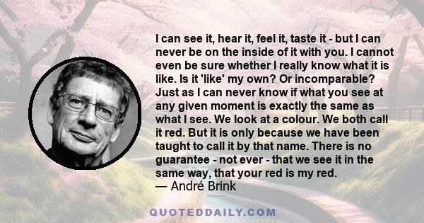 I can see it, hear it, feel it, taste it - but I can never be on the inside of it with you. I cannot even be sure whether I really know what it is like. Is it 'like' my own? Or incomparable? Just as I can never know if