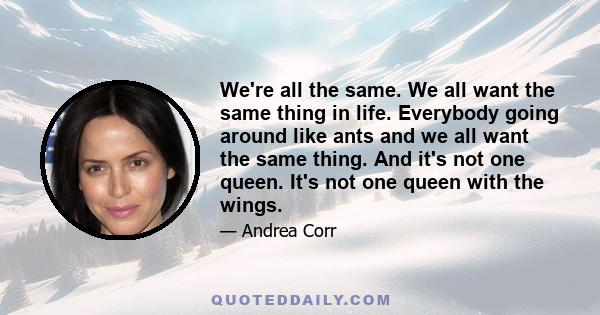 We're all the same. We all want the same thing in life. Everybody going around like ants and we all want the same thing. And it's not one queen. It's not one queen with the wings.