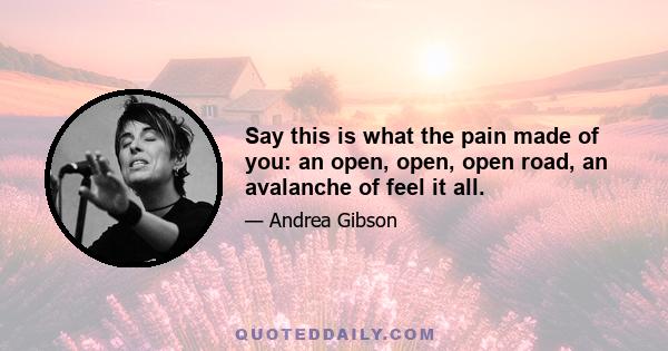 Say this is what the pain made of you: an open, open, open road, an avalanche of feel it all.