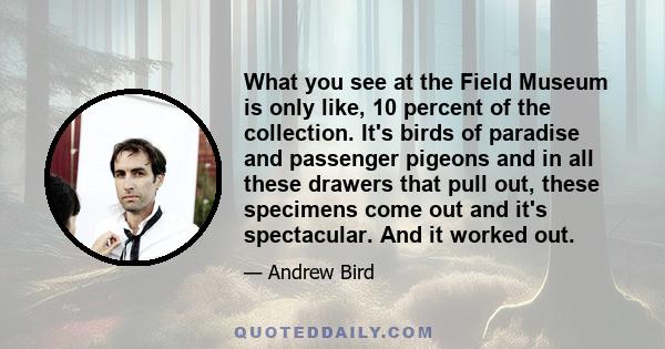 What you see at the Field Museum is only like, 10 percent of the collection. It's birds of paradise and passenger pigeons and in all these drawers that pull out, these specimens come out and it's spectacular. And it