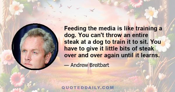 Feeding the media is like training a dog. You can't throw an entire steak at a dog to train it to sit. You have to give it little bits of steak over and over again until it learns.