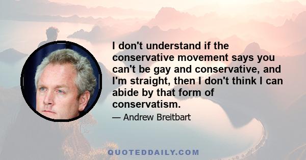 I don't understand if the conservative movement says you can't be gay and conservative, and I'm straight, then I don't think I can abide by that form of conservatism.