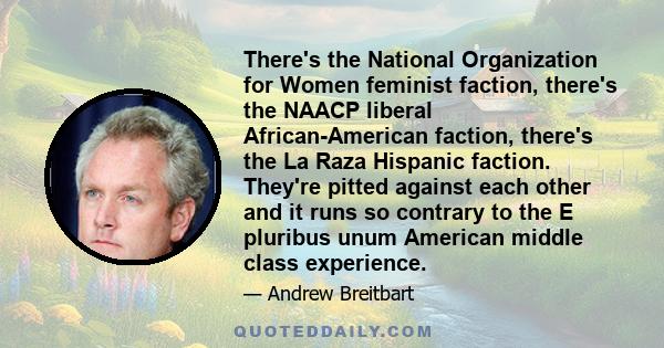 There's the National Organization for Women feminist faction, there's the NAACP liberal African-American faction, there's the La Raza Hispanic faction. They're pitted against each other and it runs so contrary to the E