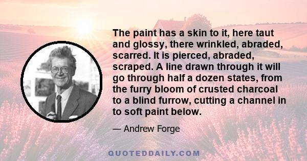 The paint has a skin to it, here taut and glossy, there wrinkled, abraded, scarred. It is pierced, abraded, scraped. A line drawn through it will go through half a dozen states, from the furry bloom of crusted charcoal