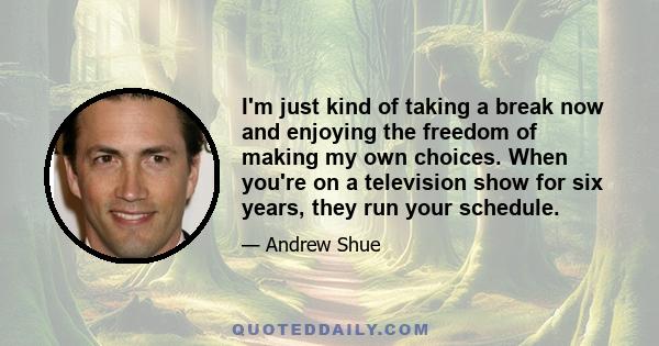 I'm just kind of taking a break now and enjoying the freedom of making my own choices. When you're on a television show for six years, they run your schedule.