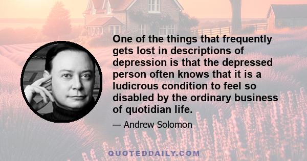 One of the things that frequently gets lost in descriptions of depression is that the depressed person often knows that it is a ludicrous condition to feel so disabled by the ordinary business of quotidian life.