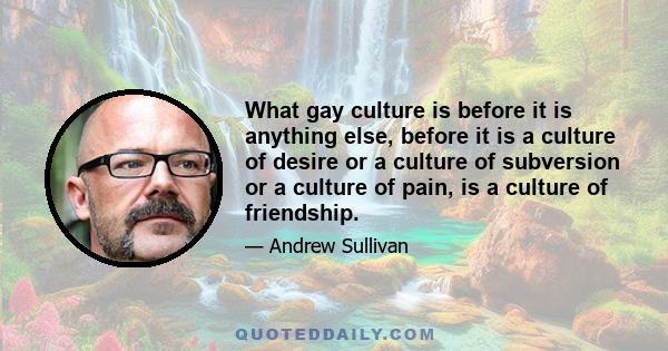 What gay culture is before it is anything else, before it is a culture of desire or a culture of subversion or a culture of pain, is a culture of friendship.