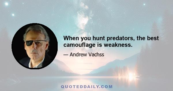 When you hunt predators, the best camouflage is weakness.