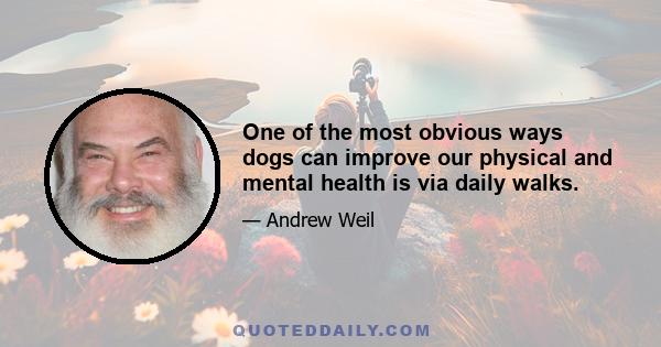 One of the most obvious ways dogs can improve our physical and mental health is via daily walks.