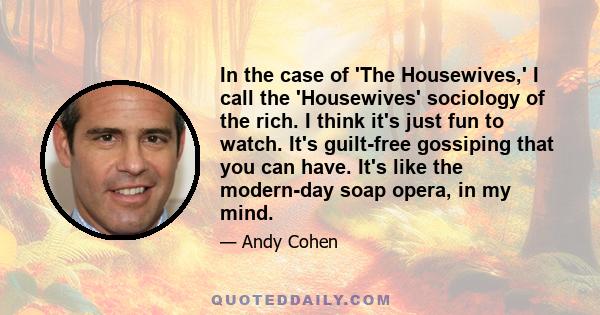 In the case of 'The Housewives,' I call the 'Housewives' sociology of the rich. I think it's just fun to watch. It's guilt-free gossiping that you can have. It's like the modern-day soap opera, in my mind.