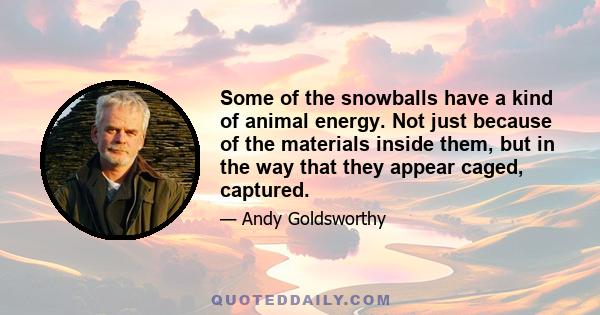 Some of the snowballs have a kind of animal energy. Not just because of the materials inside them, but in the way that they appear caged, captured.