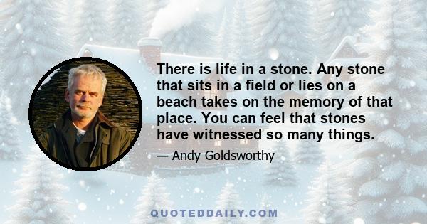 There is life in a stone. Any stone that sits in a field or lies on a beach takes on the memory of that place. You can feel that stones have witnessed so many things.