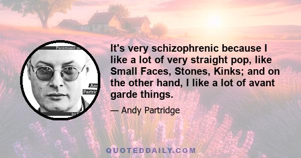 It's very schizophrenic because I like a lot of very straight pop, like Small Faces, Stones, Kinks; and on the other hand, I like a lot of avant garde things.