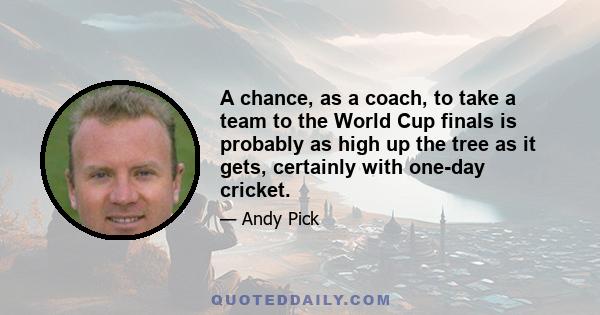 A chance, as a coach, to take a team to the World Cup finals is probably as high up the tree as it gets, certainly with one-day cricket.