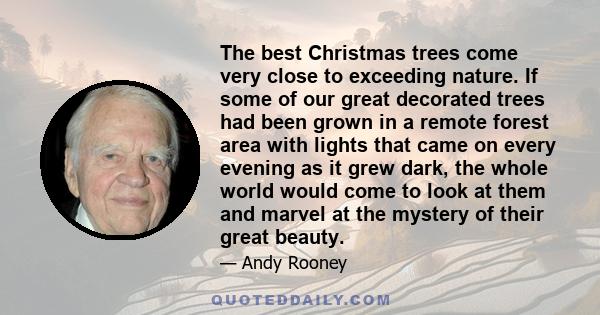 The best Christmas trees come very close to exceeding nature. If some of our great decorated trees had been grown in a remote forest area with lights that came on every evening as it grew dark, the whole world would