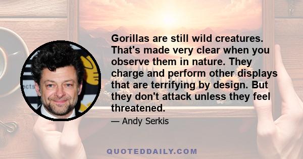 Gorillas are still wild creatures. That's made very clear when you observe them in nature. They charge and perform other displays that are terrifying by design. But they don't attack unless they feel threatened.