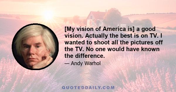 [My vision of America is] a good vision. Actually the best is on TV. I wanted to shoot all the pictures off the TV. No one would have known the difference.