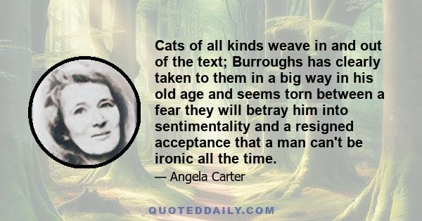 Cats of all kinds weave in and out of the text; Burroughs has clearly taken to them in a big way in his old age and seems torn between a fear they will betray him into sentimentality and a resigned acceptance that a man 