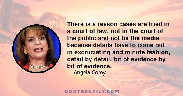 There is a reason cases are tried in a court of law, not in the court of the public and not by the media, because details have to come out in excruciating and minute fashion, detail by detail, bit of evidence by bit of