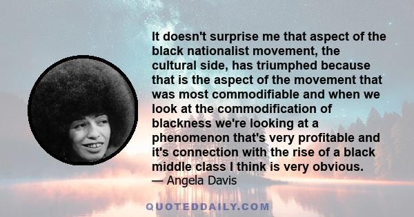 It doesn't surprise me that aspect of the black nationalist movement, the cultural side, has triumphed because that is the aspect of the movement that was most commodifiable and when we look at the commodification of