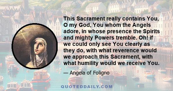 This Sacrament really contains You, O my God, You whom the Angels adore, in whose presence the Spirits and mighty Powers tremble. Oh! if we could only see You clearly as they do, with what reverence would we approach