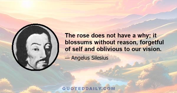 The rose does not have a why; it blossums without reason, forgetful of self and oblivious to our vision.