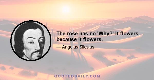 The rose has no 'Why?' It flowers because it flowers.