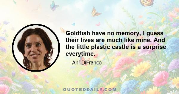 Goldfish have no memory, I guess their lives are much like mine. And the little plastic castle is a surprise everytime.