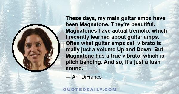 These days, my main guitar amps have been Magnatone. They're beautiful. Magnatones have actual tremolo, which I recently learned about guitar amps. Often what guitar amps call vibrato is really just a volume Up and