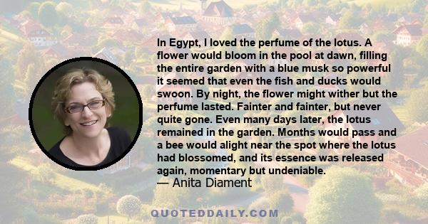 In Egypt, I loved the perfume of the lotus. A flower would bloom in the pool at dawn, filling the entire garden with a blue musk so powerful it seemed that even the fish and ducks would swoon. By night, the flower might 