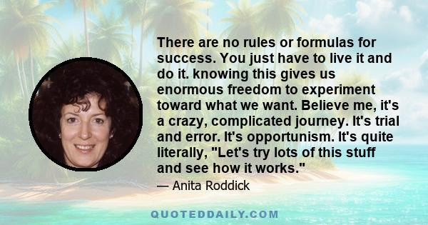 There are no rules or formulas for success. You just have to live it and do it. knowing this gives us enormous freedom to experiment toward what we want. Believe me, it's a crazy, complicated journey. It's trial and