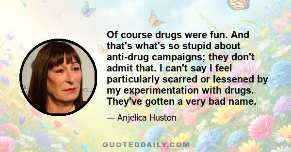 Of course drugs were fun. And that's what's so stupid about anti-drug campaigns; they don't admit that. I can't say I feel particularly scarred or lessened by my experimentation with drugs. They've gotten a very bad