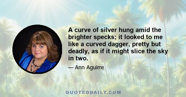 A curve of silver hung amid the brighter specks; it looked to me like a curved dagger, pretty but deadly, as if it might slice the sky in two.