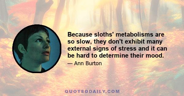 Because sloths' metabolisms are so slow, they don't exhibit many external signs of stress and it can be hard to determine their mood.