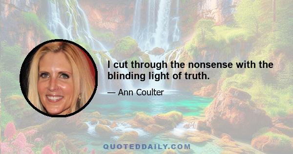 I cut through the nonsense with the blinding light of truth.