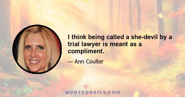 I think being called a she-devil by a trial lawyer is meant as a compliment.