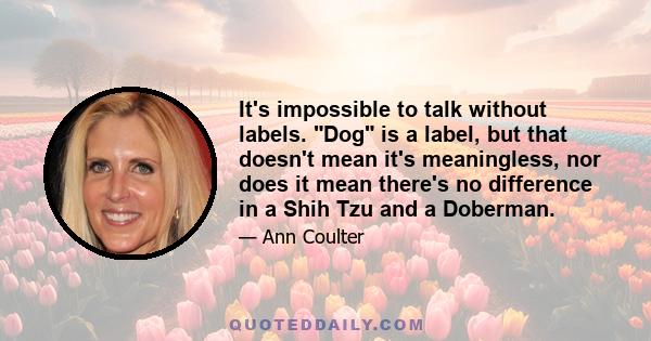 It's impossible to talk without labels. Dog is a label, but that doesn't mean it's meaningless, nor does it mean there's no difference in a Shih Tzu and a Doberman.