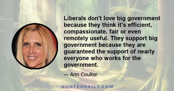 Liberals don't love big government because they think it's efficient, compassionate, fair or even remotely useful. They support big government because they are guaranteed the support of nearly everyone who works for the 