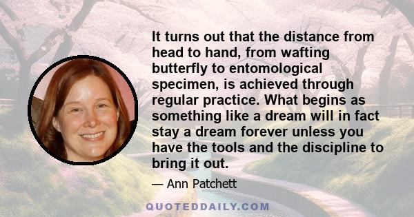 It turns out that the distance from head to hand, from wafting butterfly to entomological specimen, is achieved through regular practice. What begins as something like a dream will in fact stay a dream forever unless