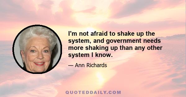 I'm not afraid to shake up the system, and government needs more shaking up than any other system I know.