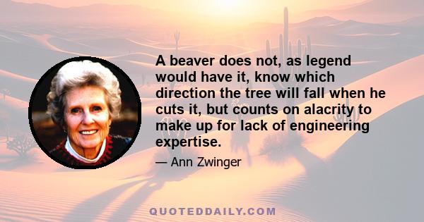 A beaver does not, as legend would have it, know which direction the tree will fall when he cuts it, but counts on alacrity to make up for lack of engineering expertise.