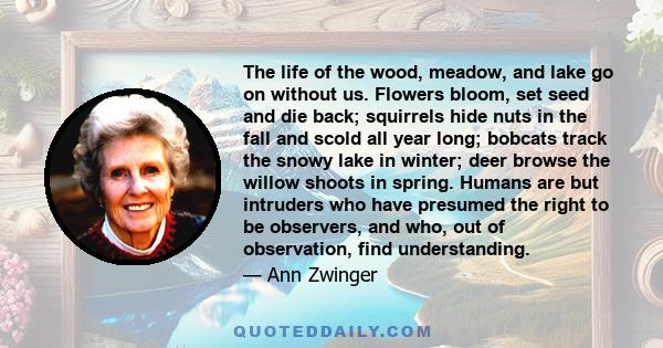 The life of the wood, meadow, and lake go on without us. Flowers bloom, set seed and die back; squirrels hide nuts in the fall and scold all year long; bobcats track the snowy lake in winter; deer browse the willow