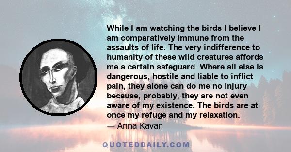 While I am watching the birds I believe I am comparatively immune from the assaults of life. The very indifference to humanity of these wild creatures affords me a certain safeguard. Where all else is dangerous, hostile 