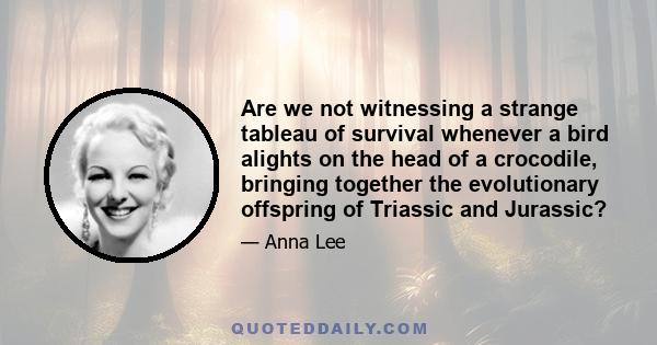 Are we not witnessing a strange tableau of survival whenever a bird alights on the head of a crocodile, bringing together the evolutionary offspring of Triassic and Jurassic?