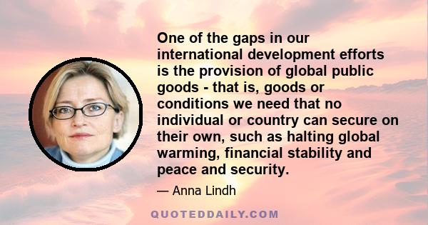 One of the gaps in our international development efforts is the provision of global public goods - that is, goods or conditions we need that no individual or country can secure on their own, such as halting global