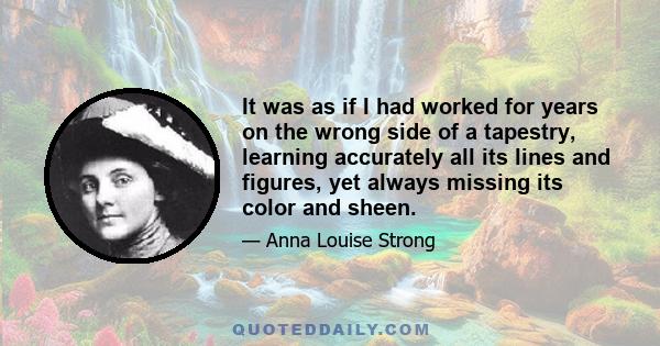 It was as if I had worked for years on the wrong side of a tapestry, learning accurately all its lines and figures, yet always missing its color and sheen.