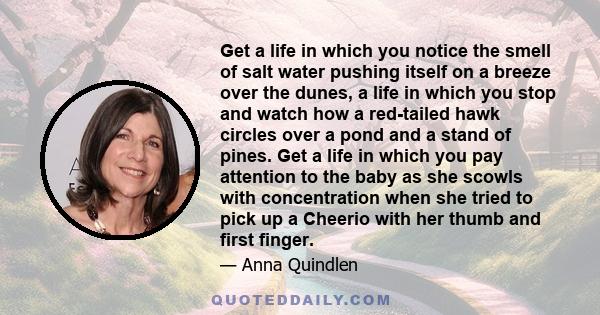 Get a life in which you notice the smell of salt water pushing itself on a breeze over the dunes, a life in which you stop and watch how a red-tailed hawk circles over a pond and a stand of pines. Get a life in which