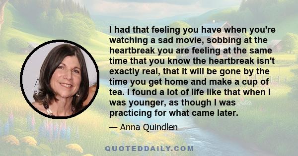 I had that feeling you have when you're watching a sad movie, sobbing at the heartbreak you are feeling at the same time that you know the heartbreak isn't exactly real, that it will be gone by the time you get home and 